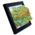 TestPlayNA 3D raised relief map of Great Smoky Mountains National Park showing mountains and hiking trails
