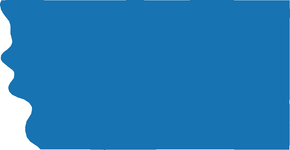 Our High Quality Vector Data Bundle for Mills County, Iowa provides complete and accurate geographical information, perfect for a wide range of scientific and professional applications.