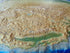 United States - Geophysical Three Dimensional 3D Raised Relief Map