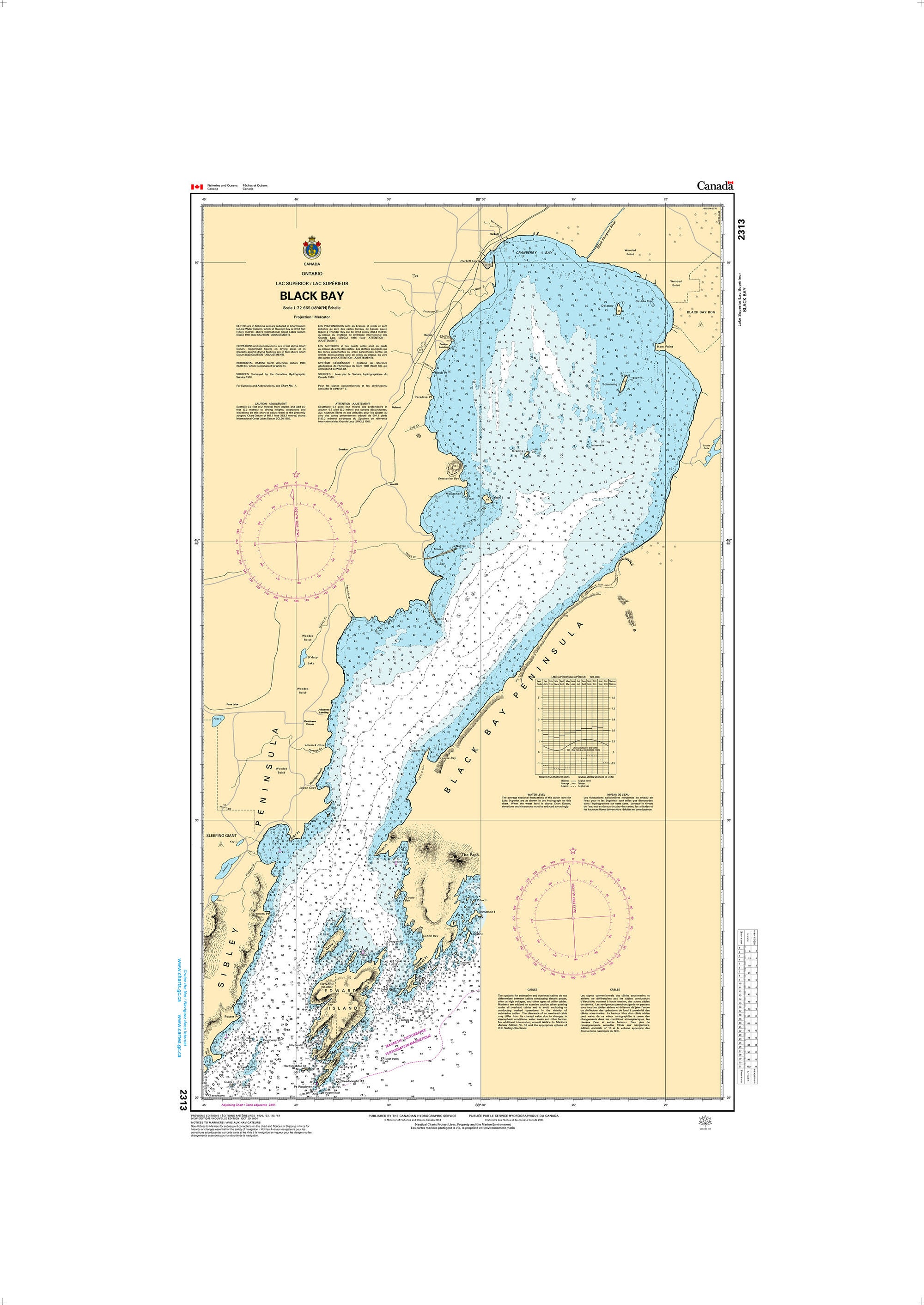 Canadian Hydrographic Service Nautical Chart CHS2313: Black Bay