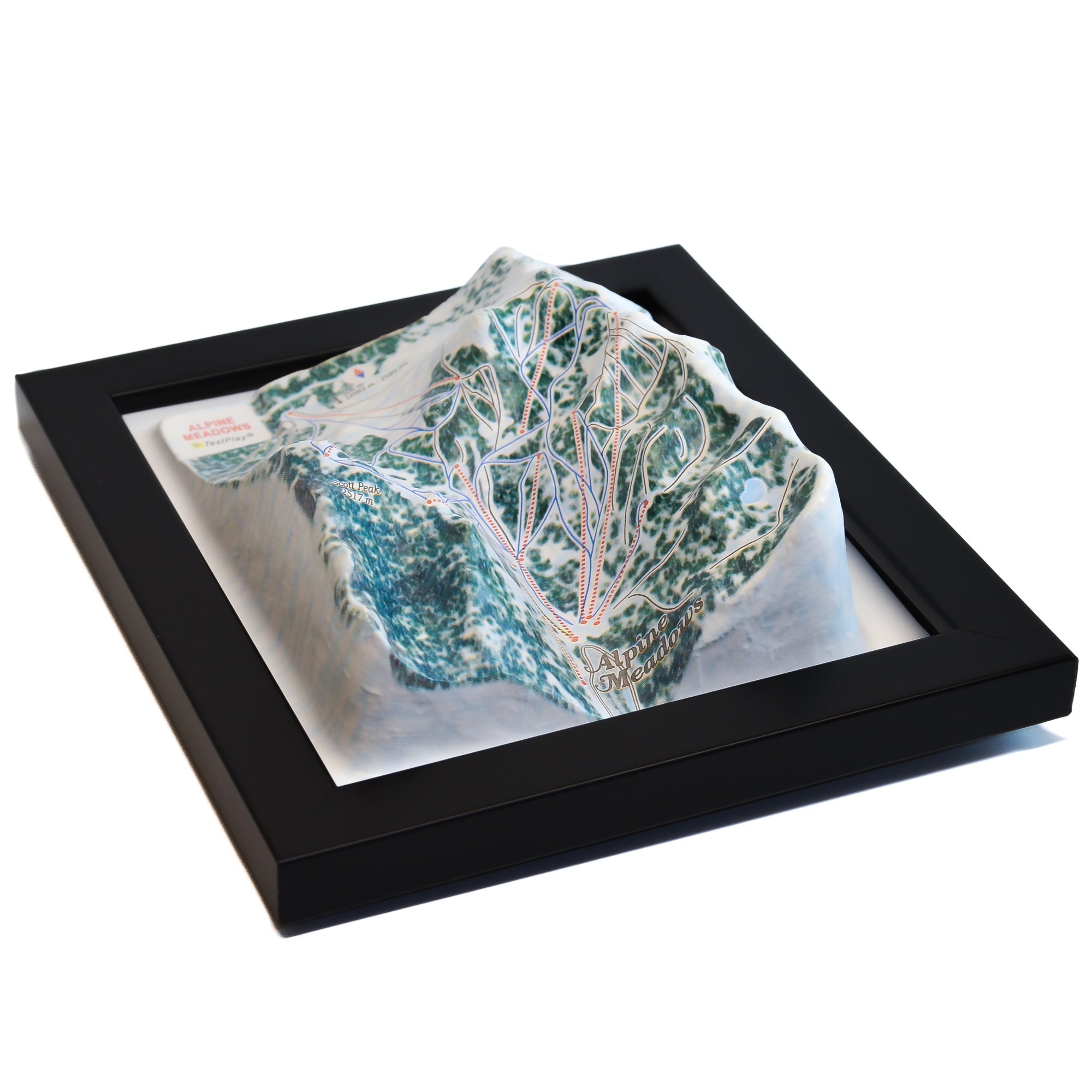 TestPlayNA 3D ski resort map of Alpine Meadows showing terrain, runs, and lifts