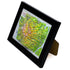 TestPlayNA 3D raised relief map of Olympic National Park showing coastline, rainforest, and mountains