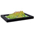 TestPlayNA 3D raised relief map of Olympic National Park showing coastline, rainforest, and mountains