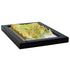 TestPlayNA 3D raised relief map of Arches National Park showing sandstone arches and terrain