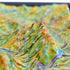 TestPlayNA 3D raised relief map of Arches National Park showing sandstone arches and terrain