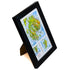 TestPlayNA 3D raised relief map of Acadia National Park showing mountains, coastline, and lakes