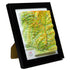TestPlayNA 3D raised relief map of Zion National Park showing canyons and the Virgin River