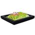 TestPlayNA 3D raised relief map of Mount Rainier National Park showing the volcano, glaciers, and surrounding terrain