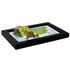TestPlayNA 3D raised relief map of the USA showing mountain ranges, plains, and rivers