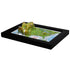 TestPlayNA 3D raised relief map of the USA showing mountain ranges, plains, and rivers