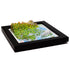 TestPlayNA 3D raised relief map of Canada showing mountains, lakes, and rivers