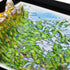 TestPlayNA 3D raised relief map of Canada showing mountains, lakes, and rivers
