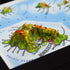 TestPlayNA 3D raised relief map of Hawaii showing the islands, volcanoes, and coastlines
