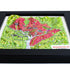 TestPlayNA 3D raised relief map of Washington, DC showing city layout and landmarks