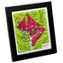 TestPlayNA 3D raised relief map of Washington, DC showing city layout and landmarks