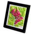 TestPlayNA 3D raised relief map of Washington, DC showing city layout and landmarks