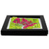 TestPlayNA 3D raised relief map of Washington, DC showing city layout and landmarks