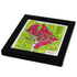 TestPlayNA 3D raised relief map of Washington, DC showing city layout and landmarks
