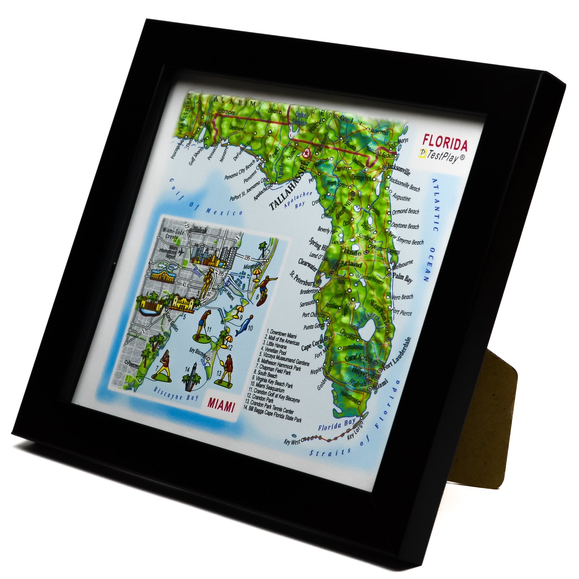 TestPlayNA 3D raised relief map of Florida and Miami showing coastline, Everglades, and cities