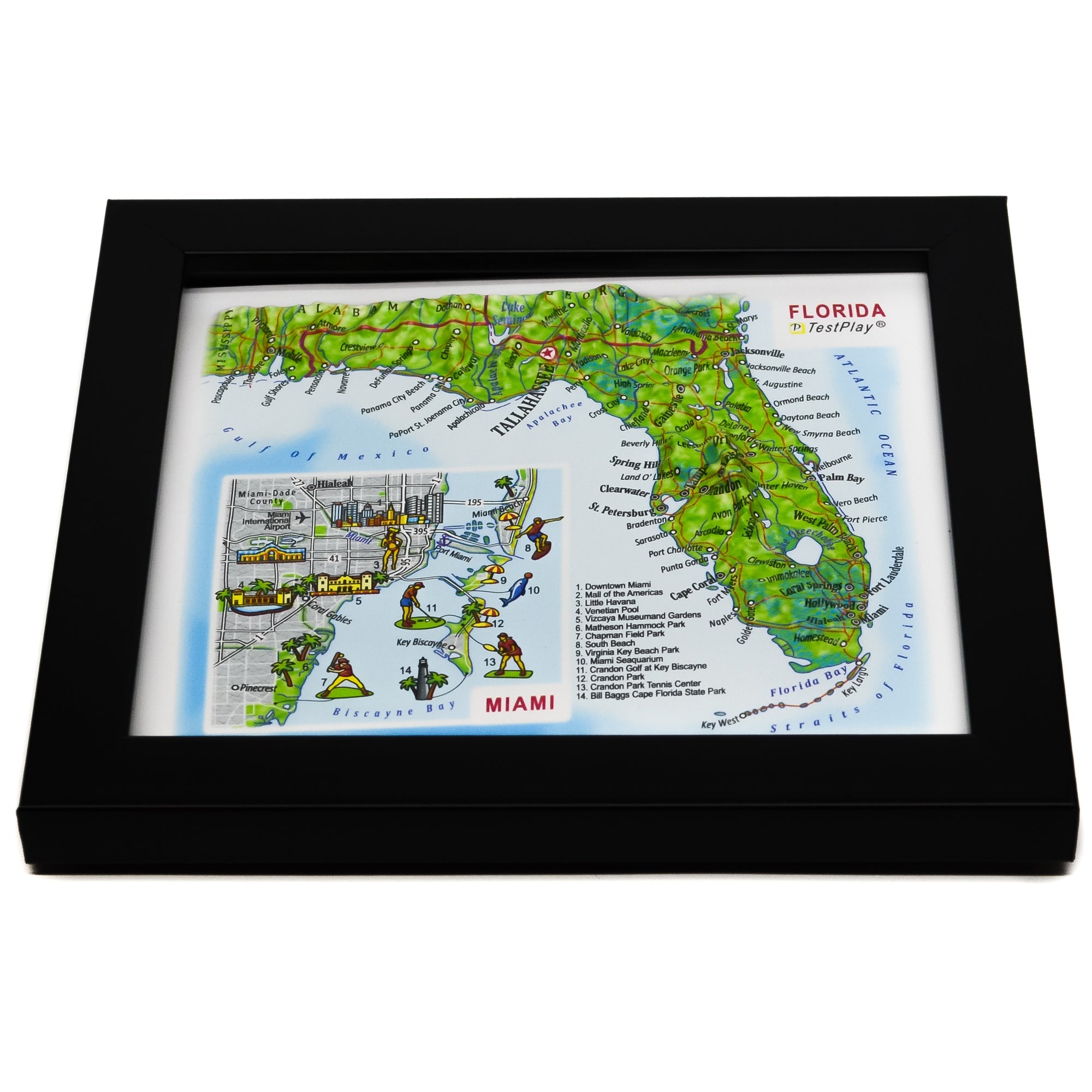 TestPlayNA 3D raised relief map of Florida and Miami showing coastline, Everglades, and cities