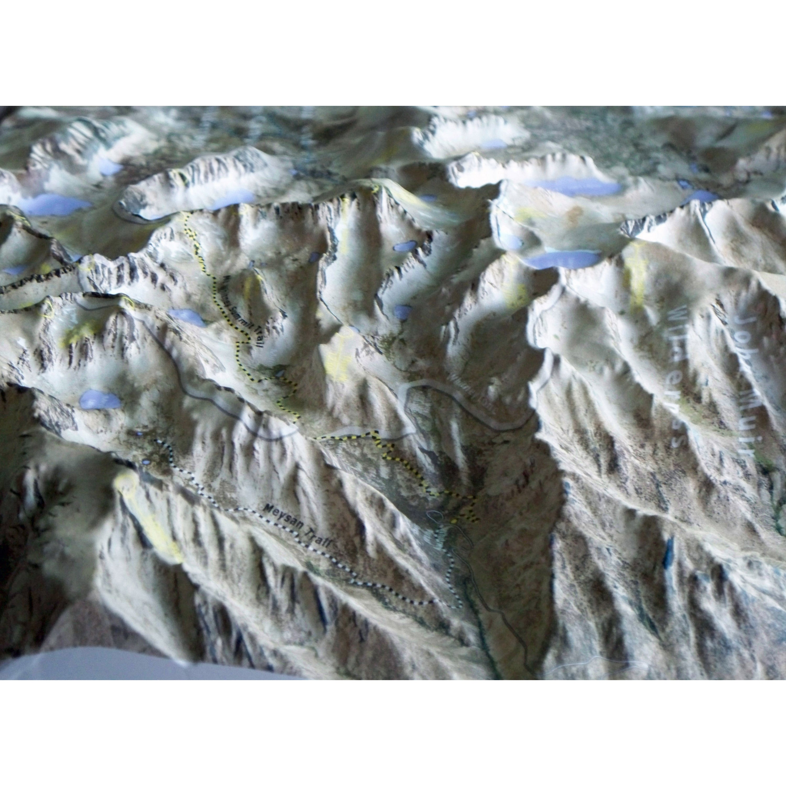 Mt Whitney Satellite Image Three Dimensional 3D Raised Relief Map