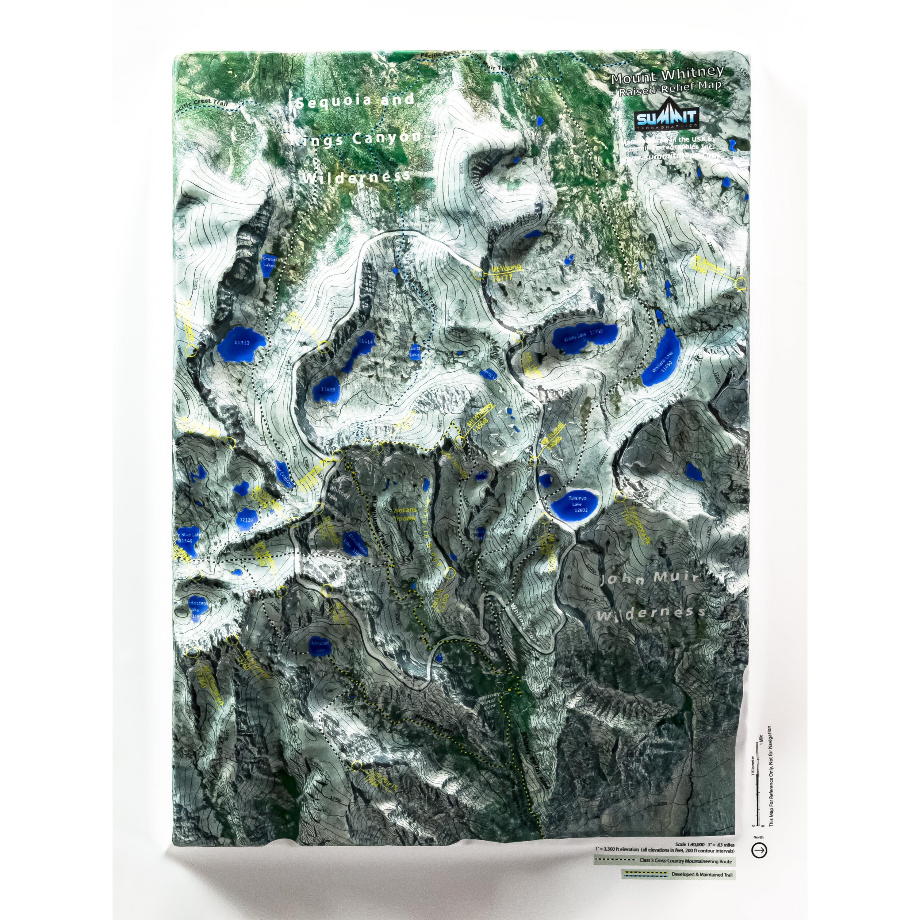 Mt Whitney Satellite Image Three Dimensional 3D Raised Relief Map