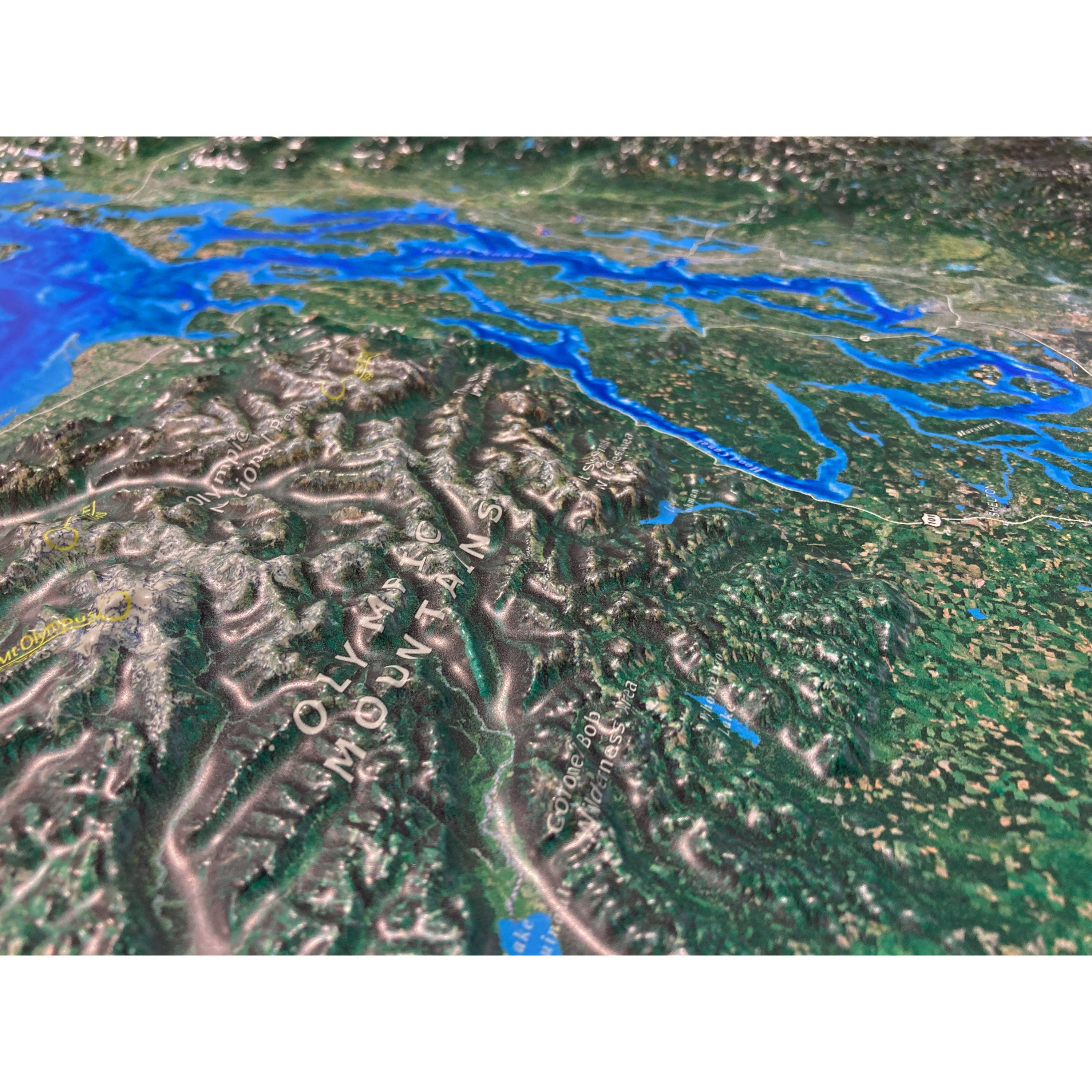 Seattle Pacific Northwest Satellite Image Three Dimensional 3D Raised Relief Map