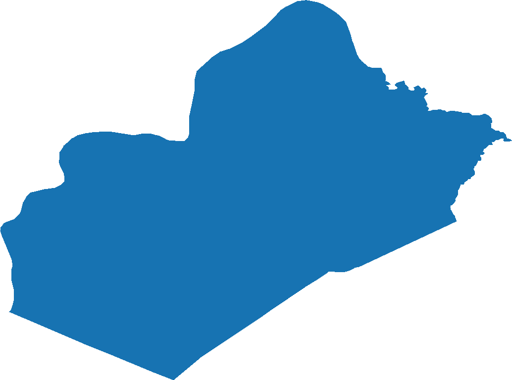 Our High Quality Vector Data Bundle for Wood County, West provides complete and accurate geographical information, perfect for a wide range of scientific and professional applications.