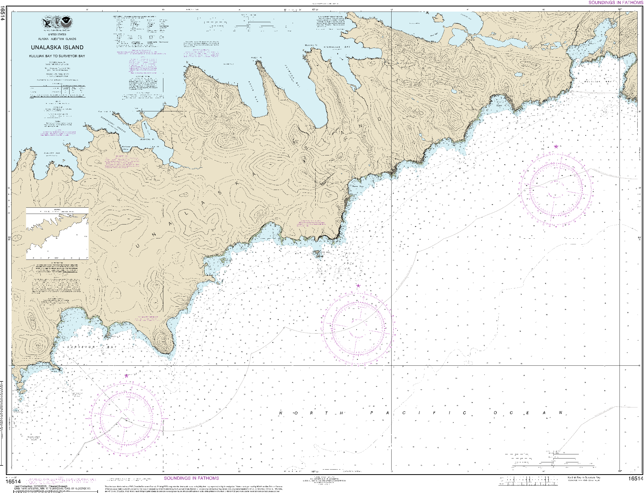 NOAA Nautical Chart 16514: Kulikak Bay and Surveyor Bay