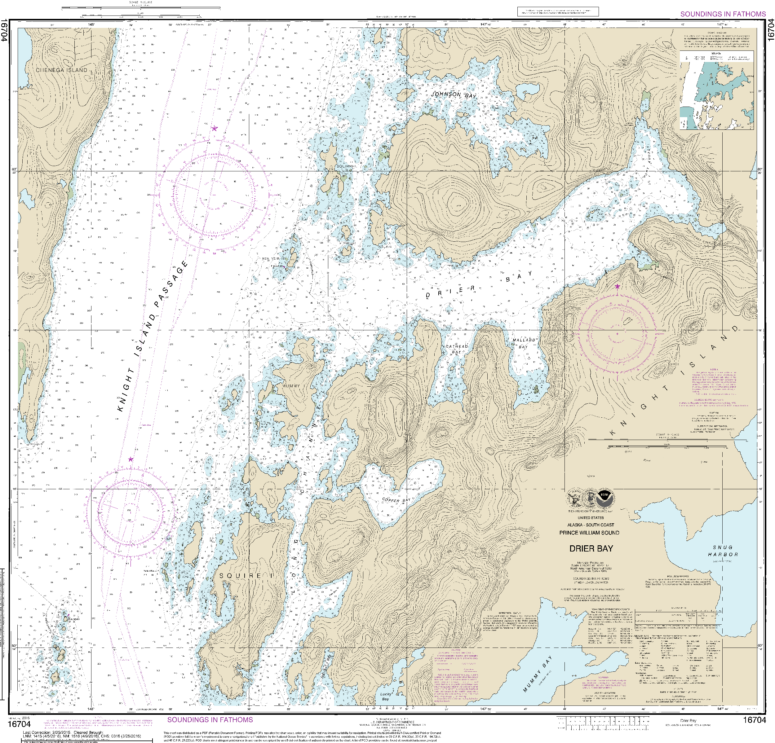 NOAA Nautical Chart 16704: Drier Bay, Prince William Sound