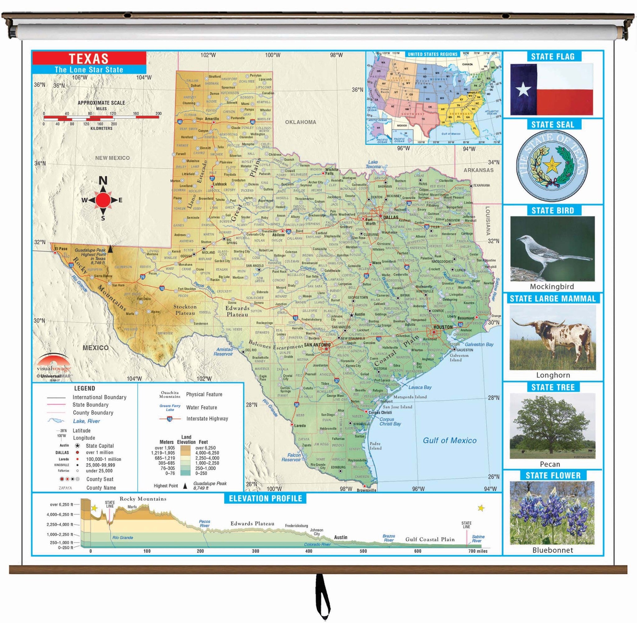 Kappa Map Group  Texas State Primary Thematic Classroom Wall Map