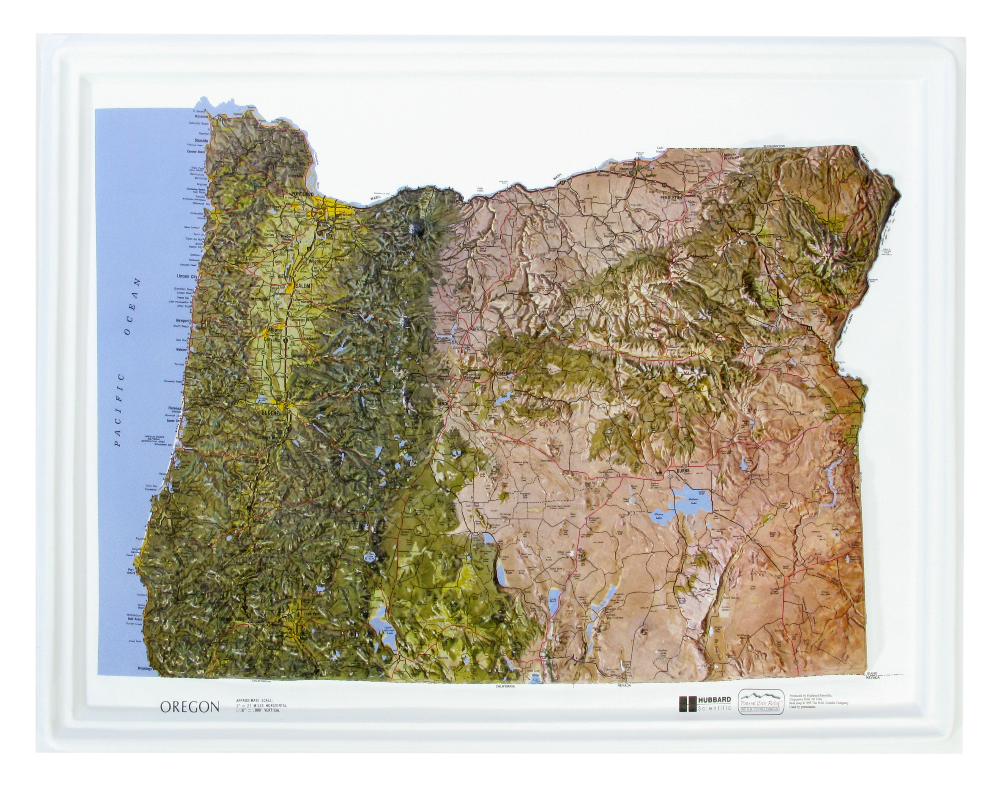 Oregon Natural Color Relief Three Dimensional 3D Raised Relief Map