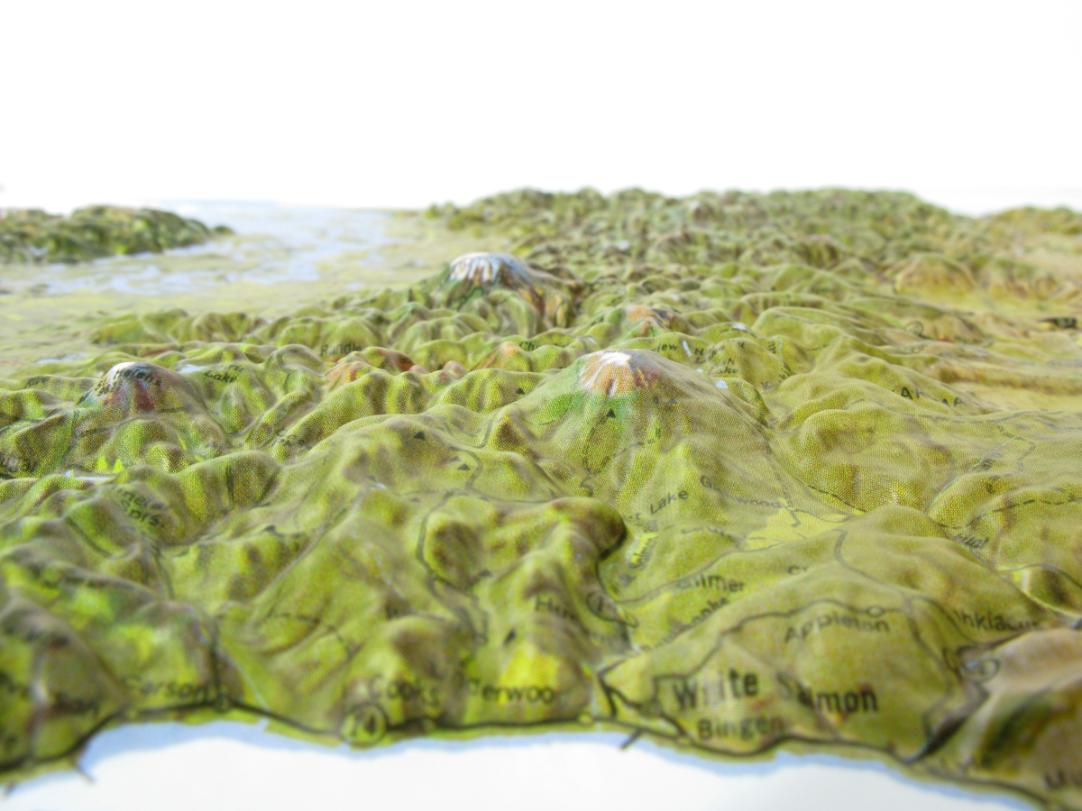 Washington Natural Color Relief Three Dimensional 3D Raised Relief Map
