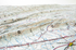 Harrisburg USGS Regional Three Dimensional 3D Raised Relief Map