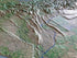 Washington State Airport & Airspace Three Dimensional 3D Raised Relief Map